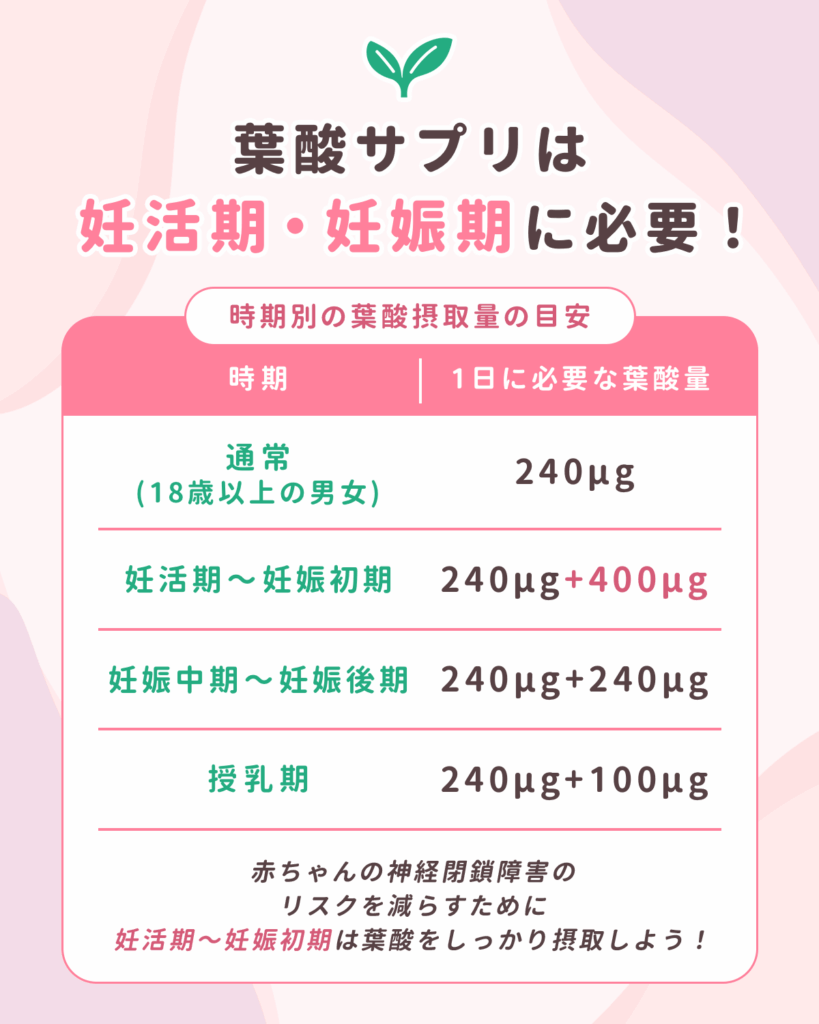 葉酸サプリが妊活期・妊娠期に必要な理由